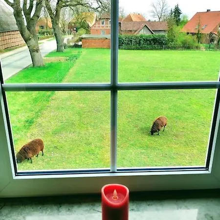 Ruhiges 4 Sterne Exzellenz-appartement Diana Im Elb-urstromtal - Fast Wlan, Good For Long-terms Apartament