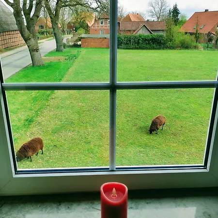 Ruhiges 4 Sterne Exzellenz-appartement Diana Im Elb-urstromtal - Fast Wlan, Good For Long-terms