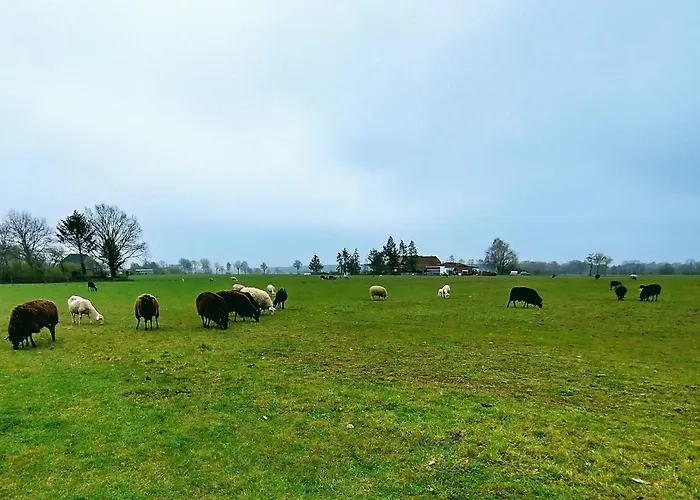 公寓 Ruhiges 4 Sterne Exzellenz-appartement Diana Im Elb-urstromtal - Fast Wlan, Good For Long-terms